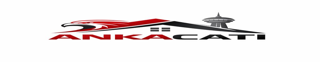Anka Çatı | Ankara Çatı Ustası & Profesyonel Çatı Sistemleri